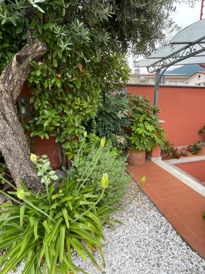 In Versilia Seravezza Dış mekan fotoğraf