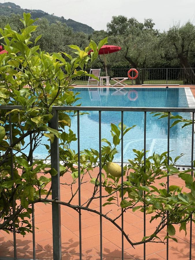 In Versilia Seravezza Dış mekan fotoğraf