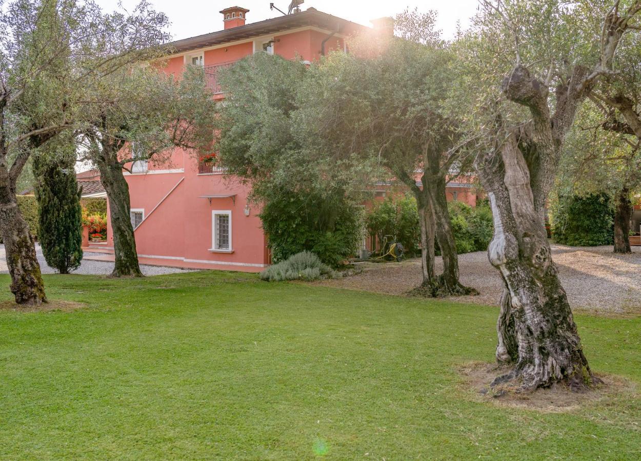 In Versilia Seravezza Dış mekan fotoğraf
