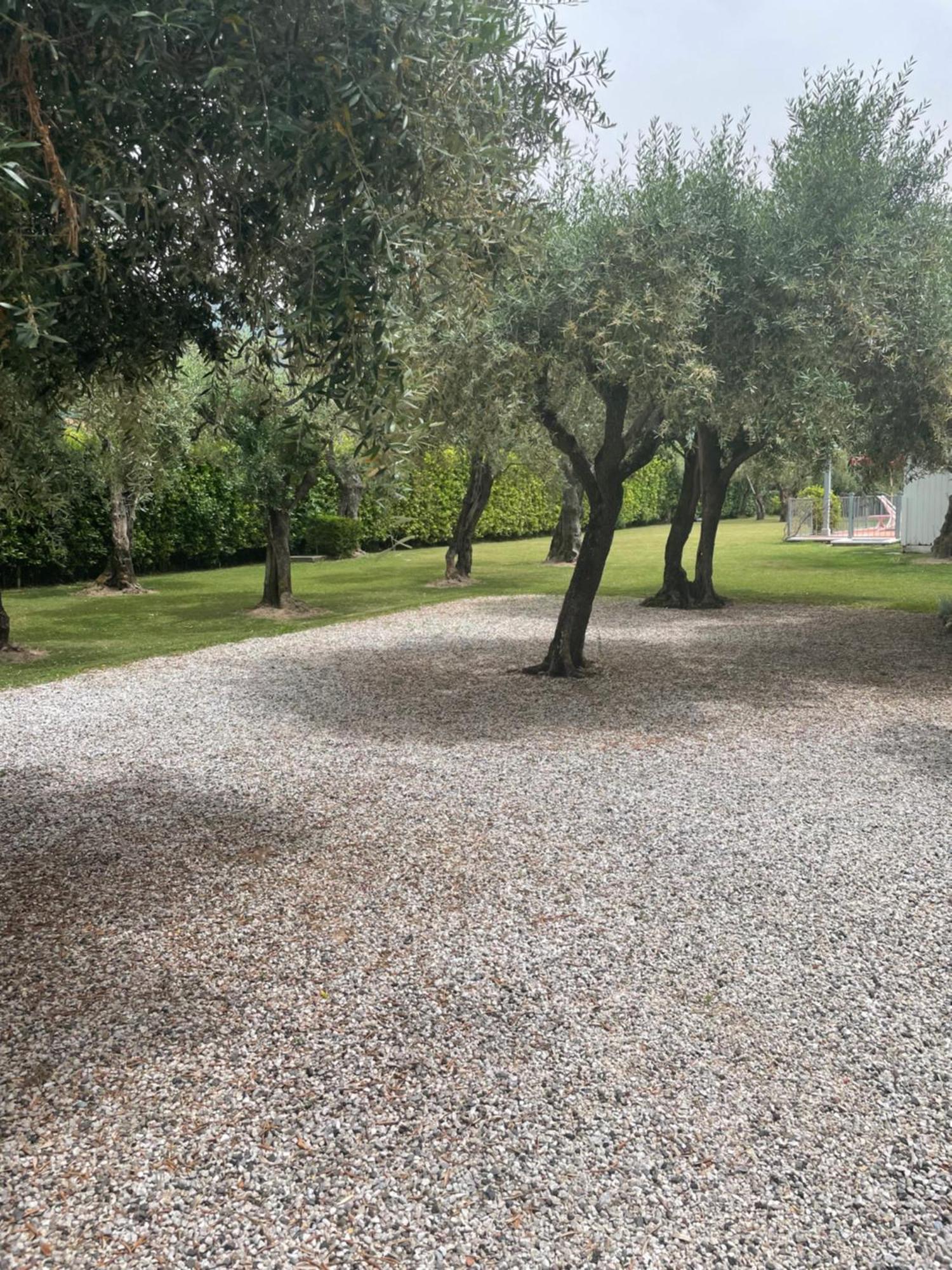 In Versilia Seravezza Dış mekan fotoğraf